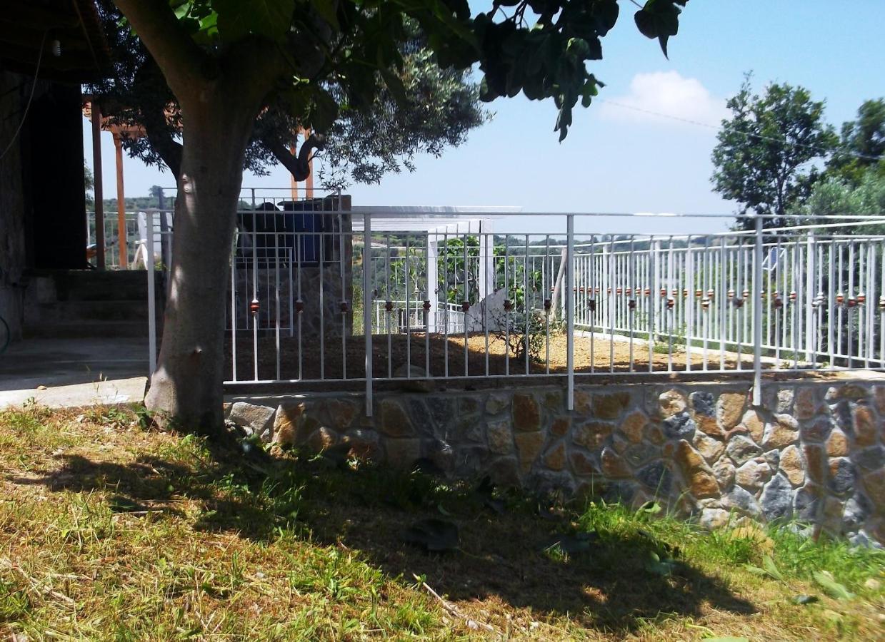 Villa De Felice Albanella Exteriér fotografie